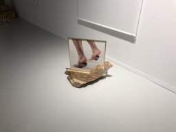 Exposición de Mutantes 2022